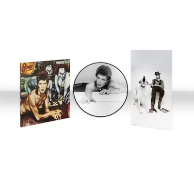 Abbildung von Diamond Dogs (50th Anniversary) Picture Disc [Vinyl LP]