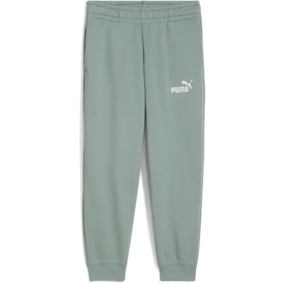 Abbildung von Puma 1 LOGO Jogginghose für Kinder, Größe: 122, Green moon
