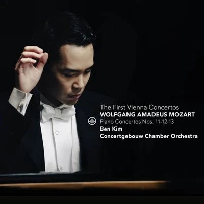 Abbildung von Mozart: the First Vienna Concertos