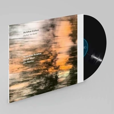 Abbildung von Ashes to Gold (LP) [Vinyl LP]