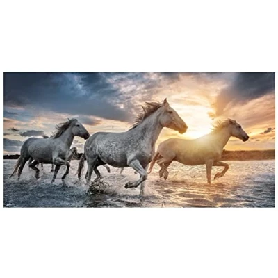 Abbildung von Theonoi Kinder Handtuch Badetuch Strandtuch Duschtuch für Mädchen und Jungen 100% Baumwolle 70x140 cm (Pferd)
