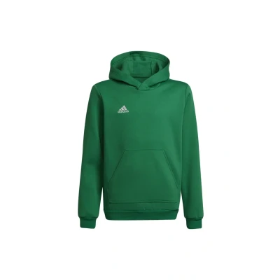 Abbildung von adidas Performance Entrada 22 Kapuzenpullover, Größe: 152, Team green/white