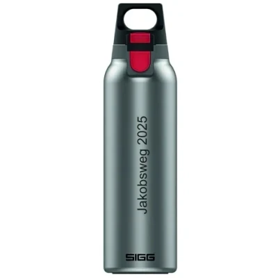 Abbildung von SIGG Isolierte Trinkflasche Thermosflasche Hot &amp; Cold One Light White Mit Fruchtfilter Auslaufsicher BPA frei 18/8 Edelstahl Camping Outdoor Weiß 0,55L