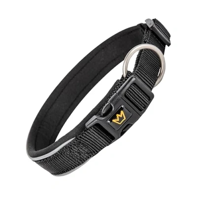 Abbildung von Rudelkönig Hundehalsband Paola Verstellbares Halsband Hund klein aus Nylon Reflektierendes kleine Hunde in schwarz