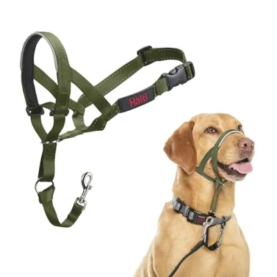 Abbildung von HALTI Kopfgeschirr Verhindert, dass Ihr Hund an der Leine zieht, Einfache Anpassung, Leicht, mit gepolstertem Nasenriemen, Anti Zug Halsband für mittelgroße Hunde (Größe 3, Waldgrün)