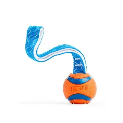 Abbildung von Chuckit! CH231101 Ultra Tug Small, Orange/Blau
