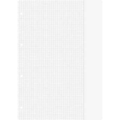 Abbildung von Brunnen 1066946 Ringbucheinlagen A4 (kariert mit Rand, Lineatur 26, 100 Blatt, 70 g/m²)