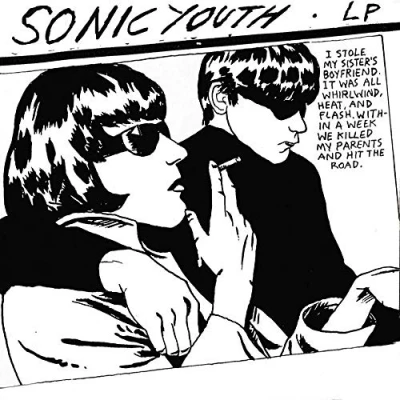 Abbildung von Goo [Vinyl LP]