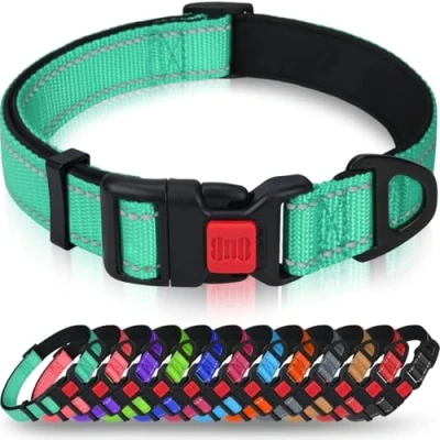 Abbildung von Taglory Hundehalsband, Weich Gepolstertes Neopren Nylon Hunde Halsband für Kleine Hunde, Verstellbare und Reflektierend das Training, Türkis