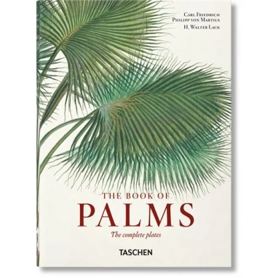 Abbildung von Martius. The Book of Palms. 40th Ed.