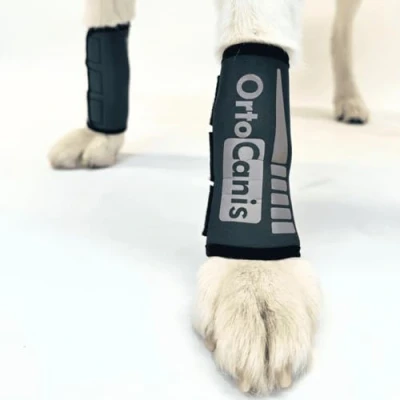 Abbildung von Ortocanis Karpalgelenk Bandage für Hund Arthrose, Bänder und Sehnenverletzungen oder Agility Hunde Hergestellt aus Neopren ARD Größe M 14 16 cm