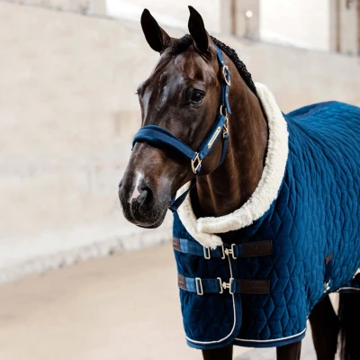 Abbildung von Kentucky Show Rug Velvet 160g Navy