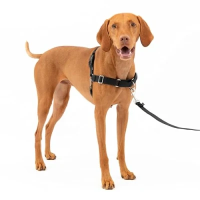 Abbildung von PetSafe Easy Walk Geschirr, Anti Zieh Hundegeschirr, Verringert Würgen und Husten, Mit 1,8 M Leine, Größe M, Schwarz