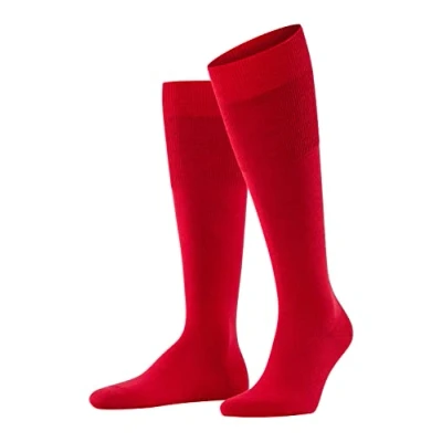 Abbildung von FALKE Herren Kniestrümpfe Airport M KH Wolle Baumwolle lang einfarbig 1 Paar, Rot (Scarlet 8120), 39 40