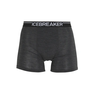 Abbildung von Icebreaker Anatomica Panties, Herren, Größe: Medium, Jet heather