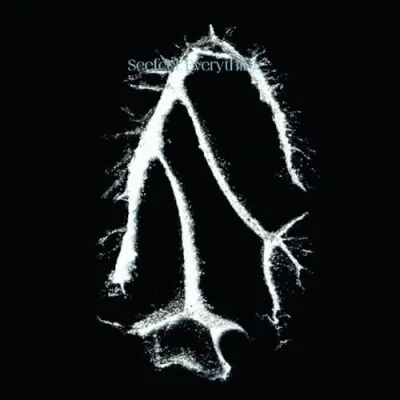 Abbildung von Everything Squared [Vinyl LP]