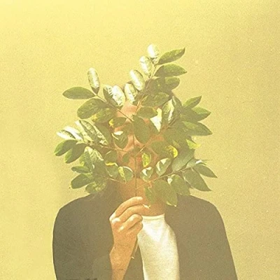 Abbildung von French Kiwi Juice (2lp) [Vinyl LP]