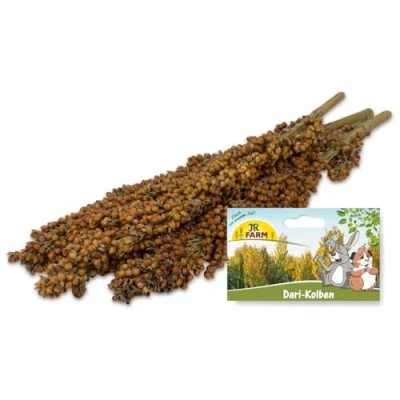 Abbildung von JR FARM Dari Kolben Nager 100 g