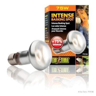 Abbildung von Exo Terra Infrared Basking Spot Nano, Infrarotlampe, für den Gebrauch im Reptile Dome 25W, Fassung E27, 1 Stück (1er Pack)