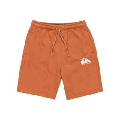 Abbildung von Quiksilver EASY Jogger Youth Shorts für Kinder, Größe: 164, Brown