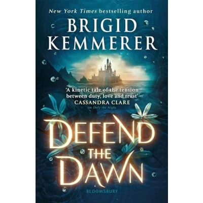 Abbildung von Defend the Dawn: Brigid Kemmerer (Defy Night)