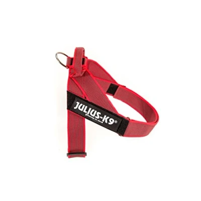 Abbildung von JULIUS K 9, Color &amp; Gray, Beltgeschirr, M / 0