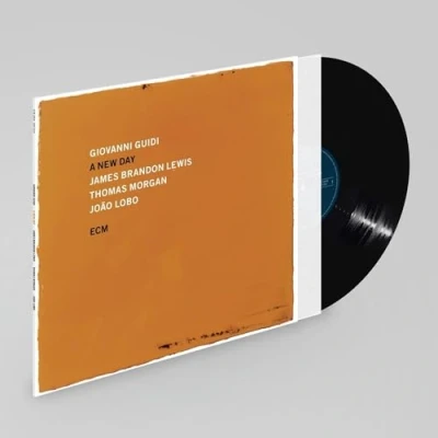 Abbildung von A New Day [Vinyl LP]