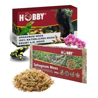 Abbildung von Hobby Terraristik Sphagnum Moss I 100g tropisches Substrat für Terrarien und Orchideen Moos 100% natürlich ohne chemische Zusätze zur Erhöhung der Luftfeuchtigkeit