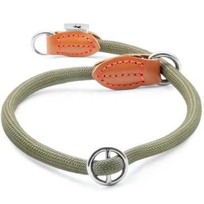 Abbildung von FREUDENTIER Zugstopp Halsband Hunde Robuster für maximale Sicherheit Hundehalsband kleine, mittelgroße &amp; große (Waldgrün, XL)