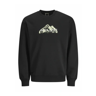 Abbildung von Jack &amp; Jones Junior Jcofusion CREW NECK Sweatshirt für Kinder, Größe: 104, Black