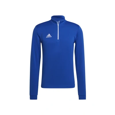 Abbildung von adidas Performance Entrada 22 Langarmshirt, Herren, Größe: Medium, Blauweiss