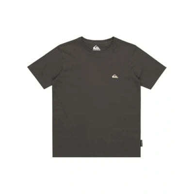 Abbildung von Quiksilver Tshirt basic für Kinder, Größe: 140, Krp