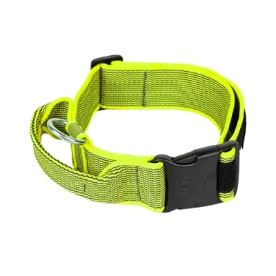 Abbildung von Julius K9 200HA K NE 2015 Color &amp; Gray Halsband mit Haltegriff, Sicherheitverschluss und Logo, 50 mm*49 70 cm, verstellbar, neon grau