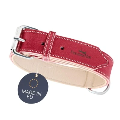 Abbildung von FREUDENTIER Hundehalsband Leder, gefüttert &amp; komfortabel, hochwertiges breites Lederhalsband aus Vollnarbenleder, Amstelpark Kollektion in Spicy Red (47 57cm Halsumfang, Rot)
