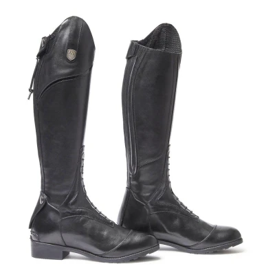 Abbildung von Mountain Horse Sovereign Young