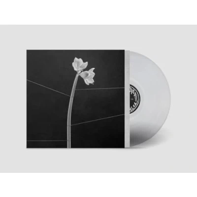 Abbildung von Dreamweaver (Transparent Crystal Clear Lp+Mp3) [Vinyl LP]
