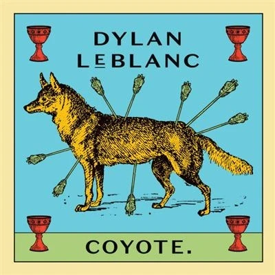 Abbildung von Coyote