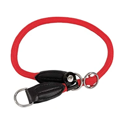 Abbildung von lionto Hundehalsband aus strapazierfähigem Nylon für Hundetraining, Länge 50 cm, 1 cm Dicke, Zugstopp Halsband Hunde, Lederimitat mit Metallring &amp; Anpassung durch stufenlosen Schieber, rot