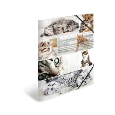 Abbildung von HERMA Sammelmappe A3 Katzen, Kinder Eckspanner Mappe aus Pappe mit Tier Motiv, Gummizug, Innenklappen und Innendruck für Jungen Mädchen