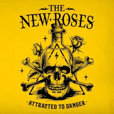 Abbildung von Attracted to Danger [Vinyl Single]