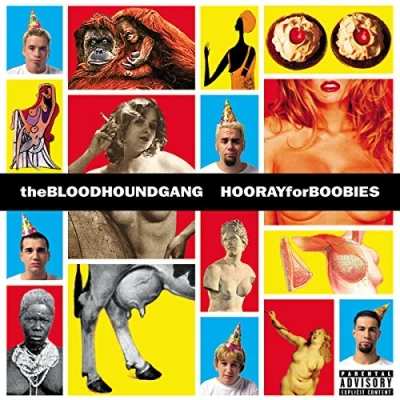 Abbildung von Hooray For Boobies (180 Coloured Splatter 2LP) [Vinyl LP]