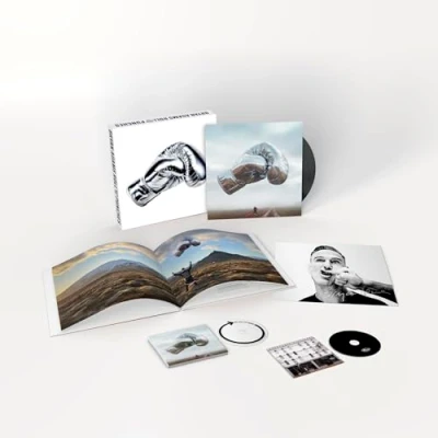 Abbildung von Roll With The Punches Box