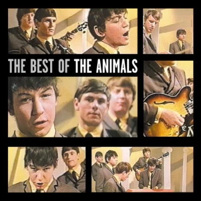 Abbildung von The Best of Animals