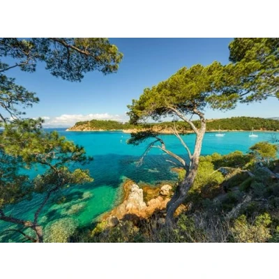 Abbildung von Ravensburger Puzzle 12000219 Schöne Aussicht 500 Teile für Erwachsene und Kinder ab 12 Jahren, mit Landschaft Natur, [Multiple Colors]