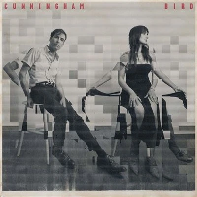 Abbildung von Cunningham/Bird