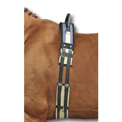 Abbildung von HKM vaulting girth