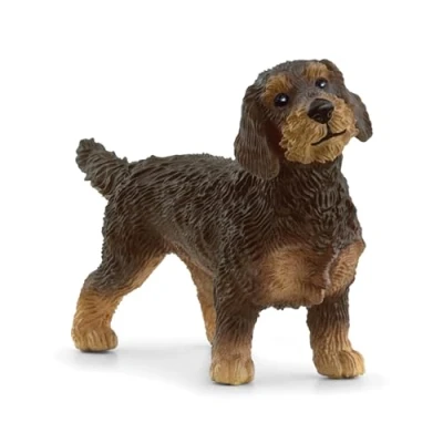 Abbildung von schleich 13972 Rauhaardackel, ab 3 Jahren, FARM WORLD Spielfigur, 2 x 7 4 cm, Braun