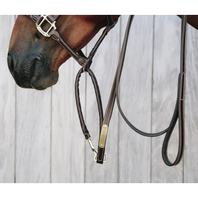 Abbildung von Kentucky Leather Covered Chain Lead