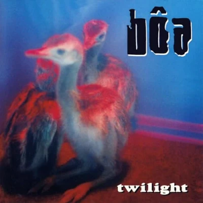 Abbildung von Twilight