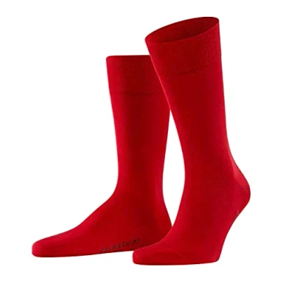 Abbildung von FALKE Herren Socken Cool 24/7 M SO Baumwolle einfarbig 1 Paar, Rot (Scarlet 8228) neu umweltfreundlich, 43 44